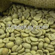 Premium Vietnam Robusta green coffee beans