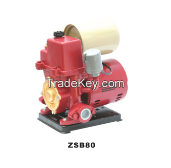 ZSB automatic peripheral pump