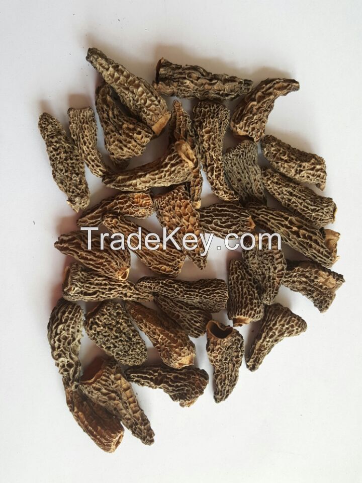 Dried Morchella(morels)