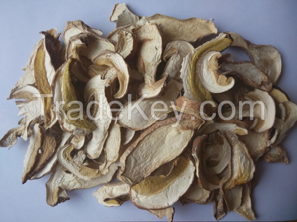 dried boletus edulis(porcini)