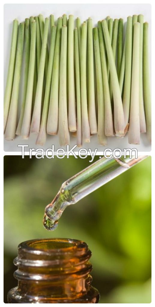 Lemongrass Extract