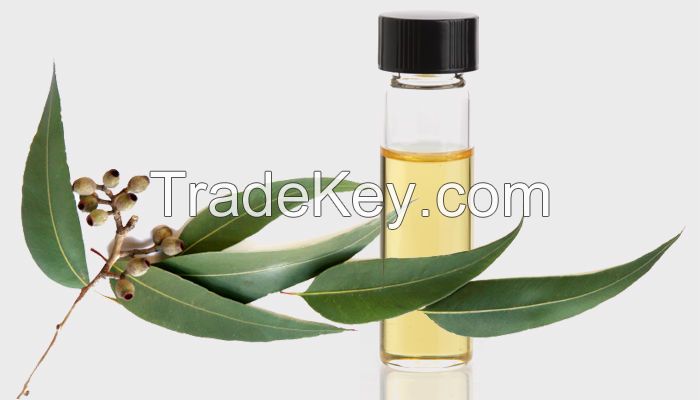 Melaleuca oil (Tea tree oil)