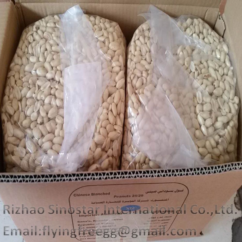 Blanched peanut kernel vacuum bags prompt shipment