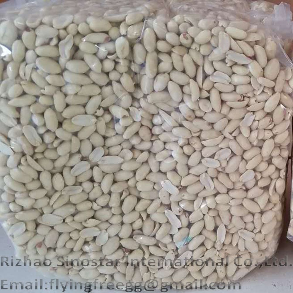 Blanched peanut kernel vacuum bags prompt shipment
