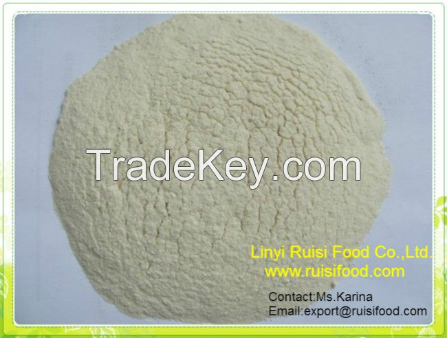 New crop dehydrated garlic powder from Linyi Shandong China