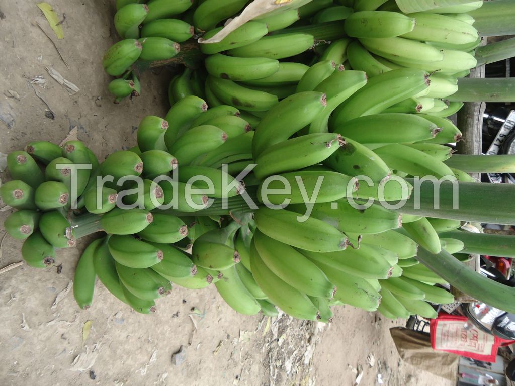 banana , fresh vegetable 