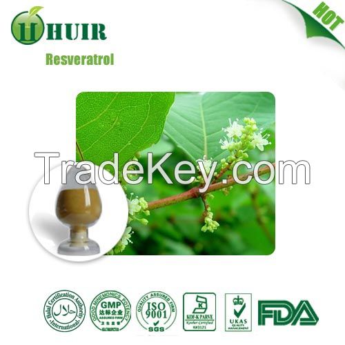 Wholesale Price 100% Nature Resveratrol Powder Extacted from Polygonum Cuspidatum