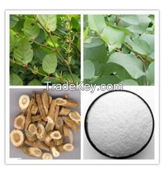 Professional manufacture competitive quality and price Resveratrol 50% 98% 