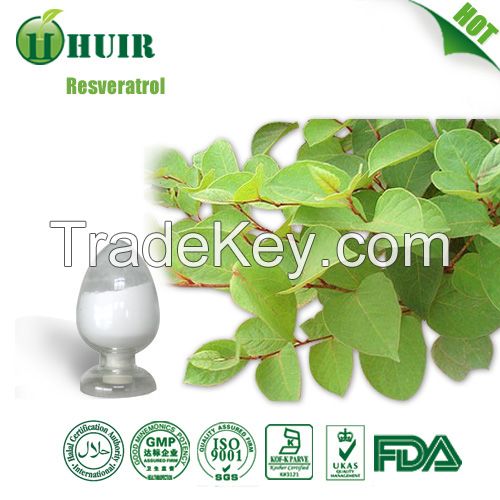 Factory Supply 10%-99% resveratrol contained in Polygounum Cuspidatum Extract