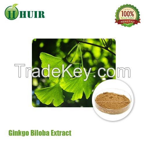 Free sample Ginkgo Leaf Extract in Low Price