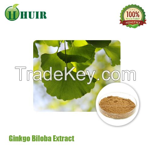 GMP factory supply Ginkgo Leaf Extract meet CP2015 Bulk Powder