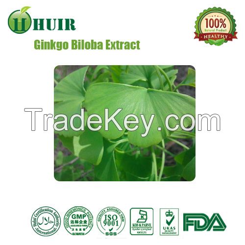 100% Ginkgo Biloba Powder for Anti-aging