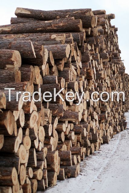 Firewood, Logs, Timber, Lumber.
