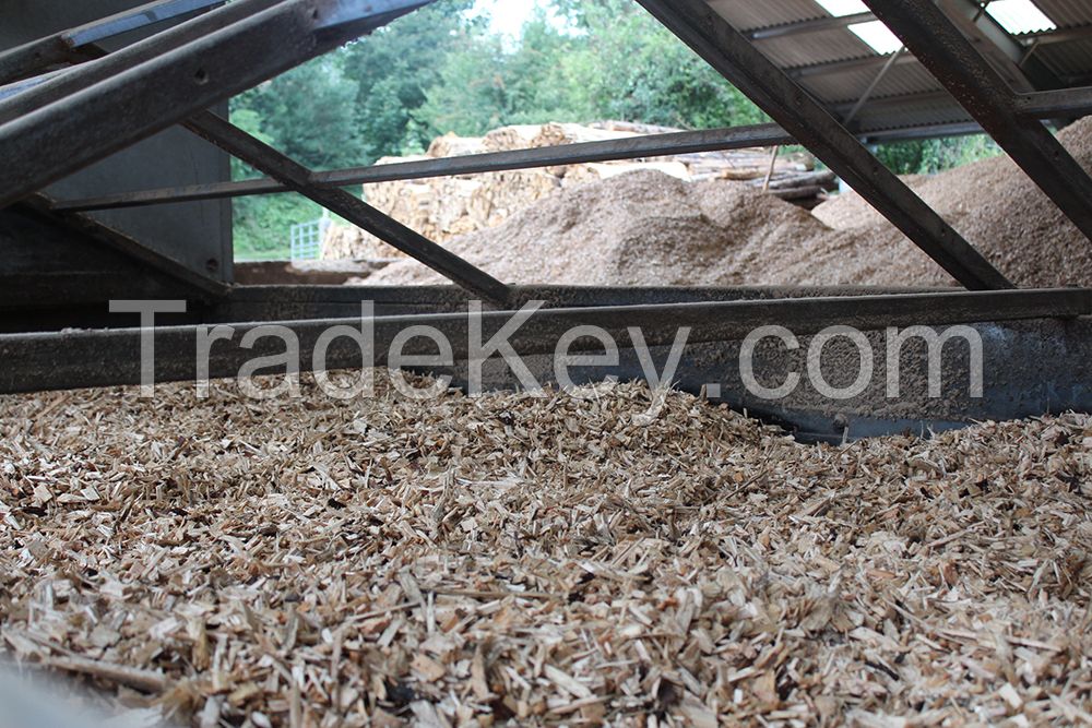 Biomass Wood Chip Fuel