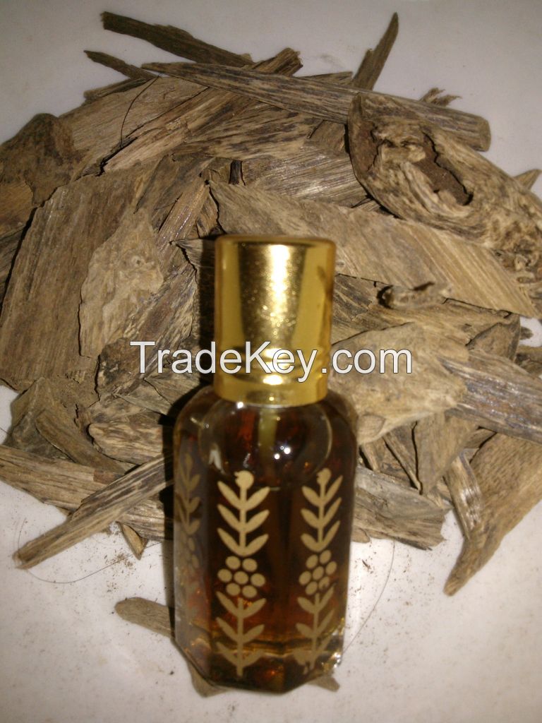 Oudh Tree (Agar Wood)