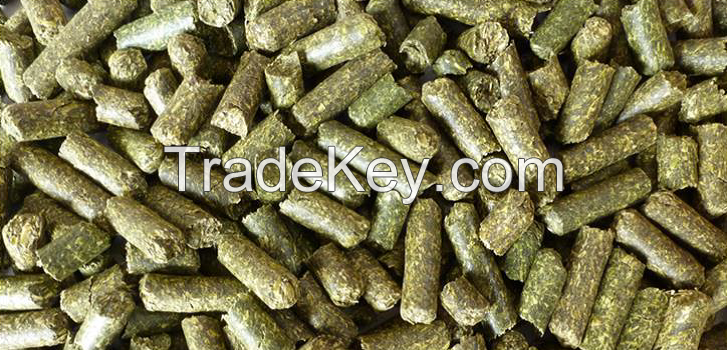 Alfalfa pellets