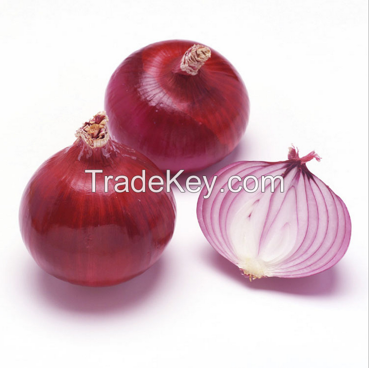 Fresh red Onion