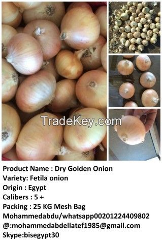 Golden fresh onion 