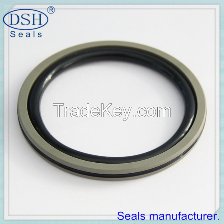 Standard cylinders and combination seals