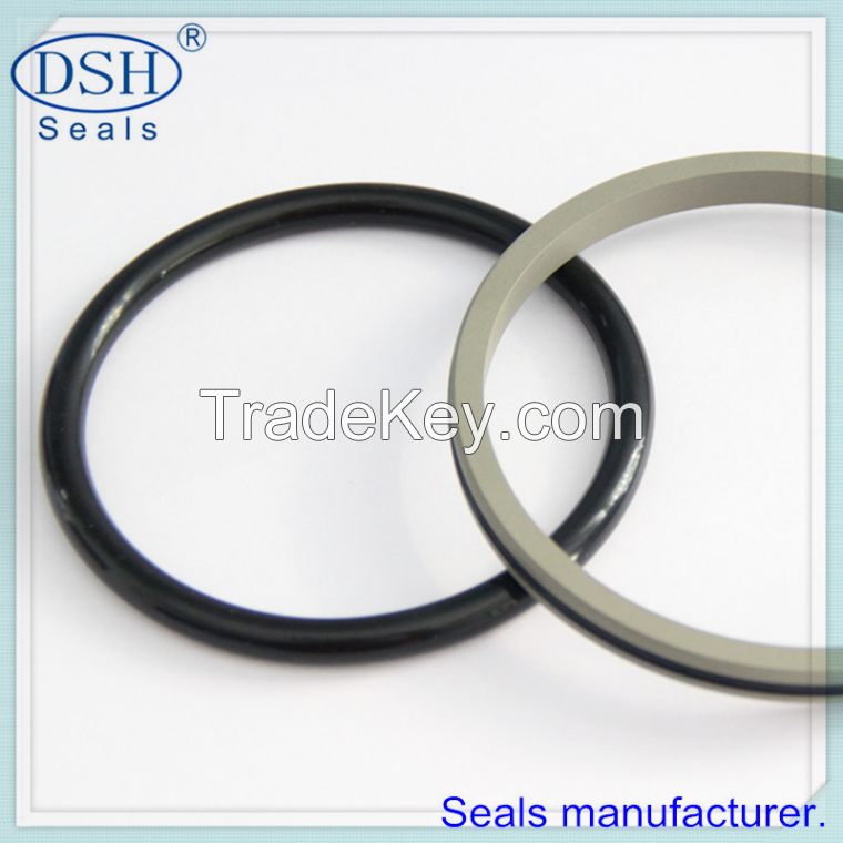 Standard cylinders and combination seals