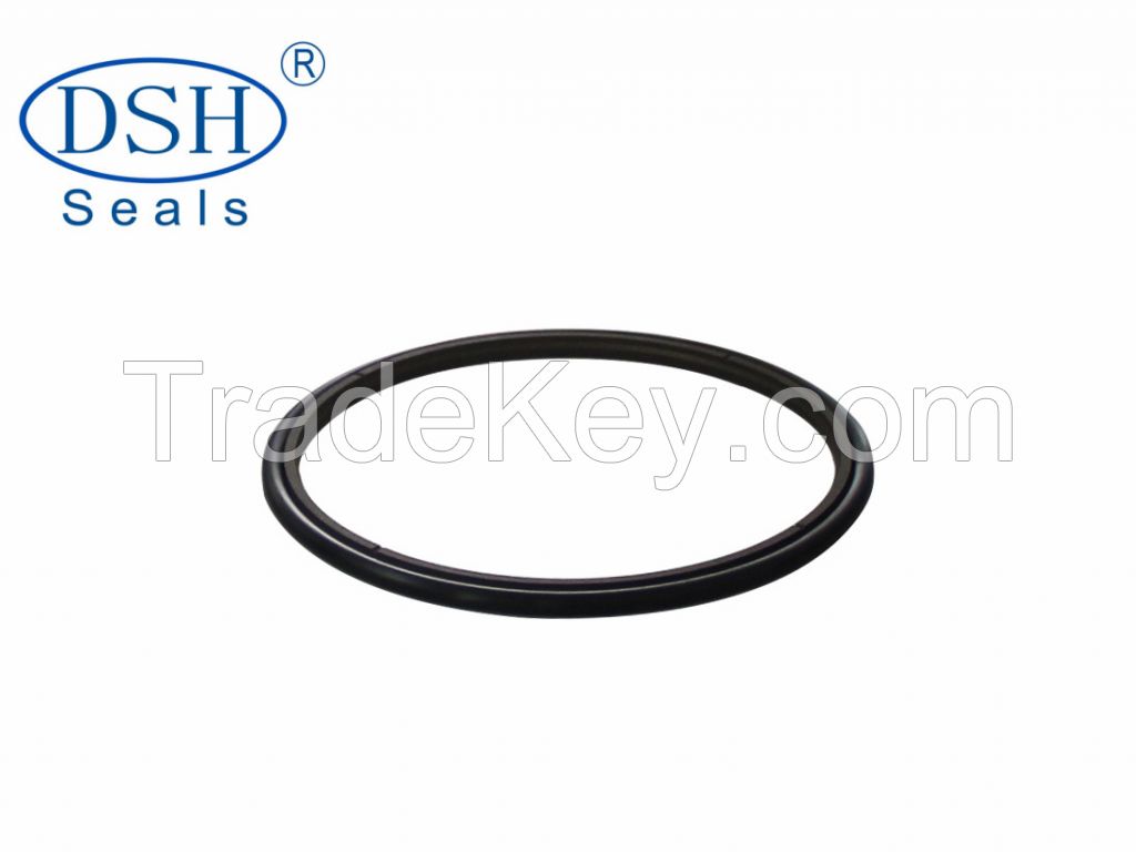 Rod Stepseal hydraulic and cylinder seals