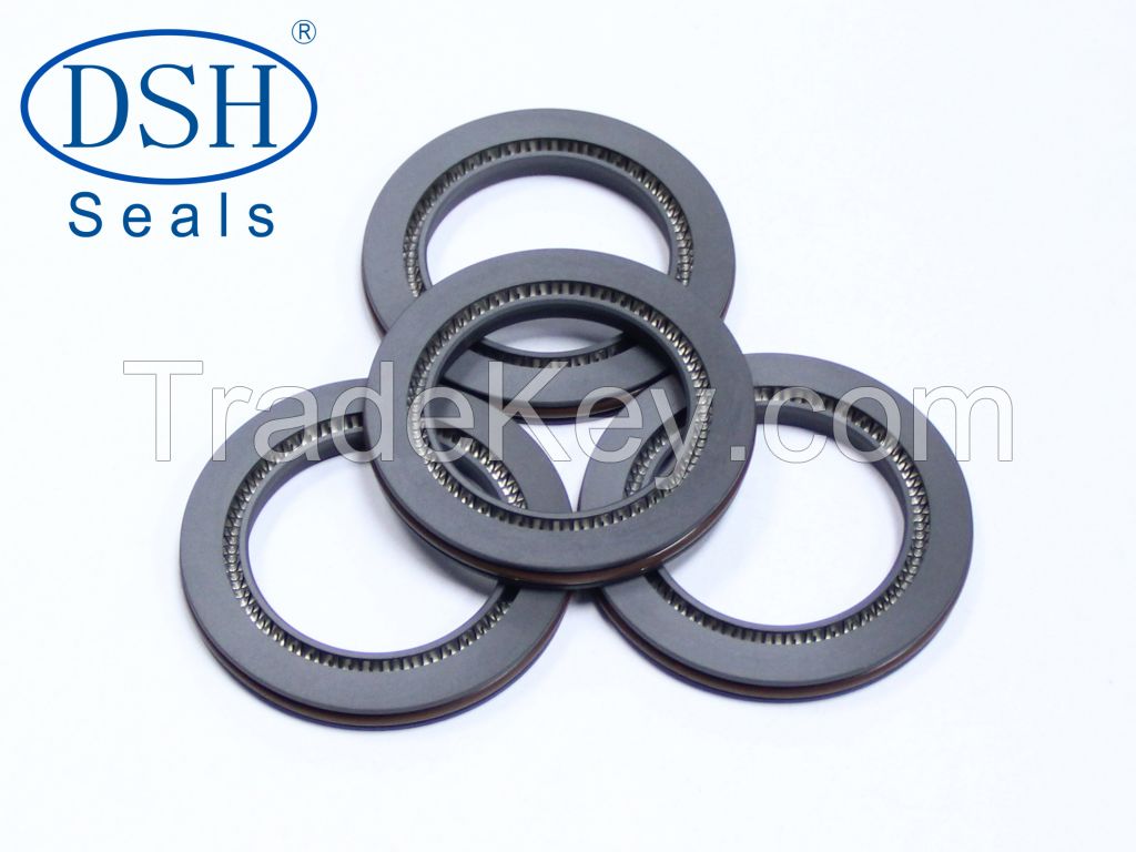 PTFE and H type spring activated seal