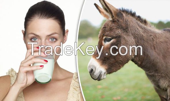 Donkey Milk