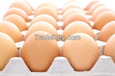 Fresh Table Eggs White &amp;amp; Brown