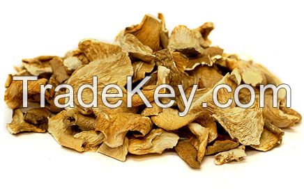 Oyster Mushrooms ( Dried)