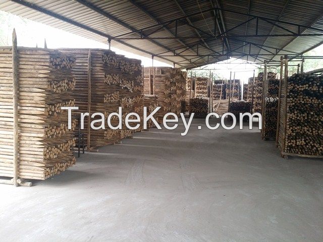 TREE SUPPORT POLE(+84 987 635 199)