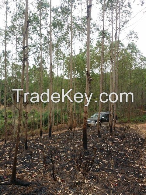 TREE WATERING SYSTEM STAKE(+84 987 635 199)