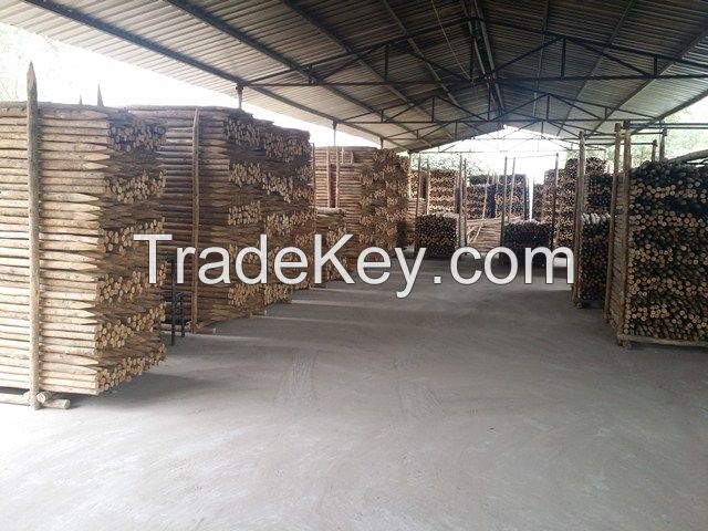 WOOD POLE(+84 987 635 199)