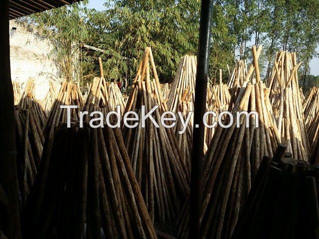 GARDEN STAKING POLE(+84 987 635 199)