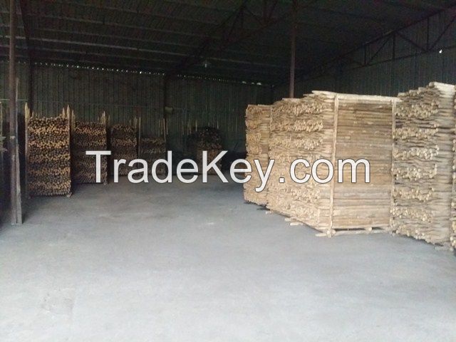 EUCALYPTUS SHRPPENED SUPPORTING POLE (+84987635199)