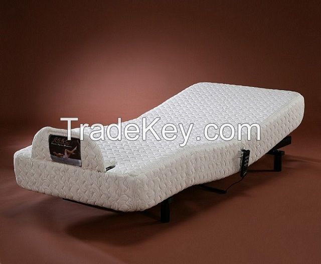 American type Electric Adjustable Bed  RG-360