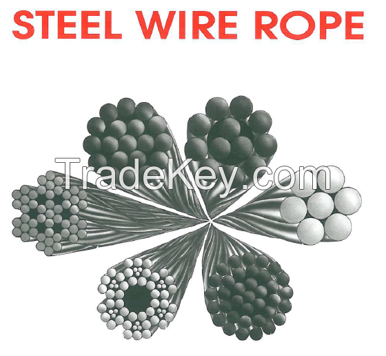 Steel Wire Rope