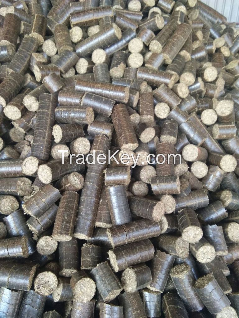 Biomass Briquette