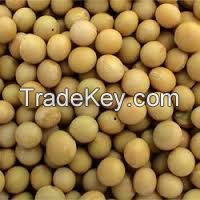 yellow soya bean