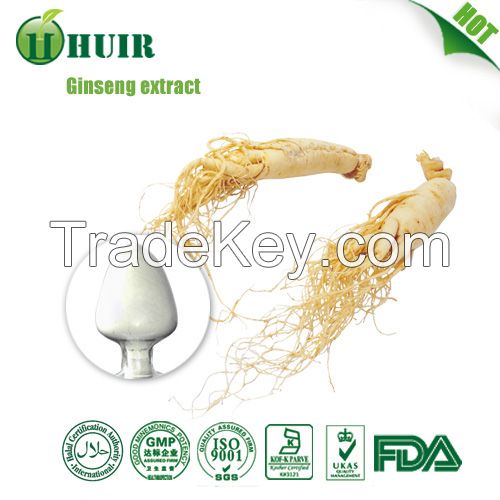 7% Korean red ginseng root extract powder