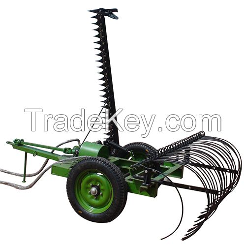 Mowing and raking machine 