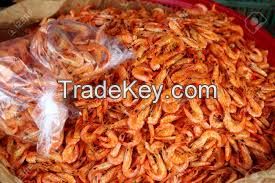 Dried Shrimp , Frozen  Shrimp