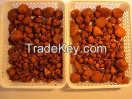 Cow Gallstones