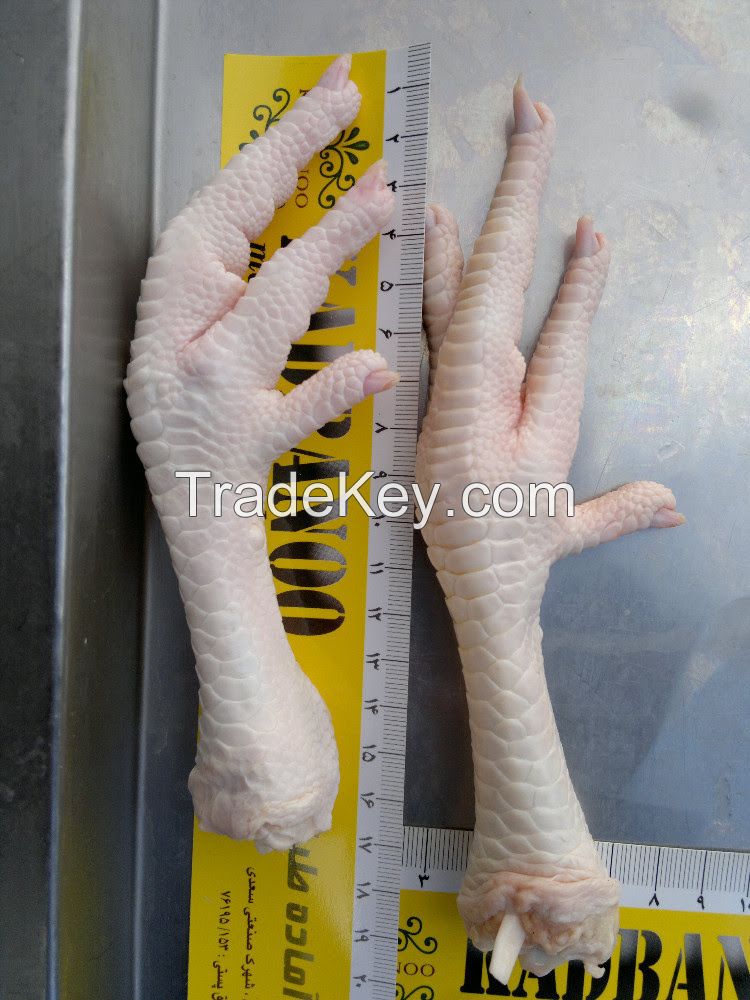 Processed Frozen Chicken Feet & frozen chicken Paws