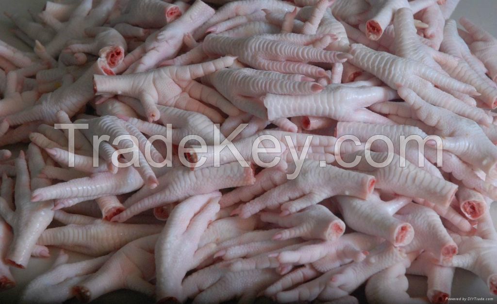 Grade A Processed Frozen Chicken Feet/Paws for sale.