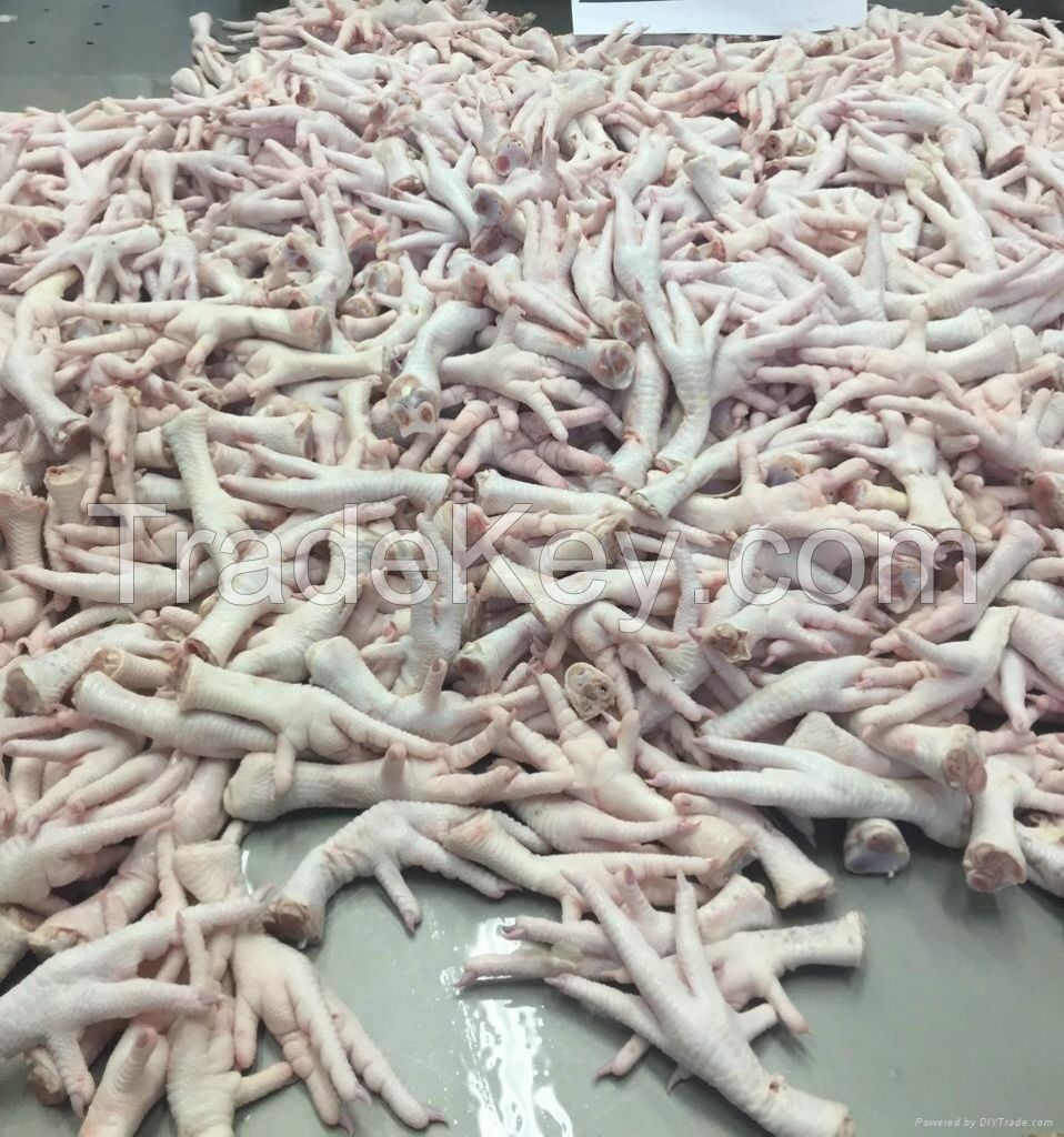 Grade A Processed Frozen Chicken Feet/Paws for sale.