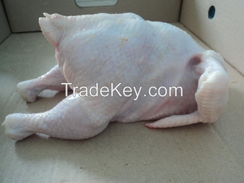 PREMIUM HALAL FROZEN WHOLE CHICKEN 