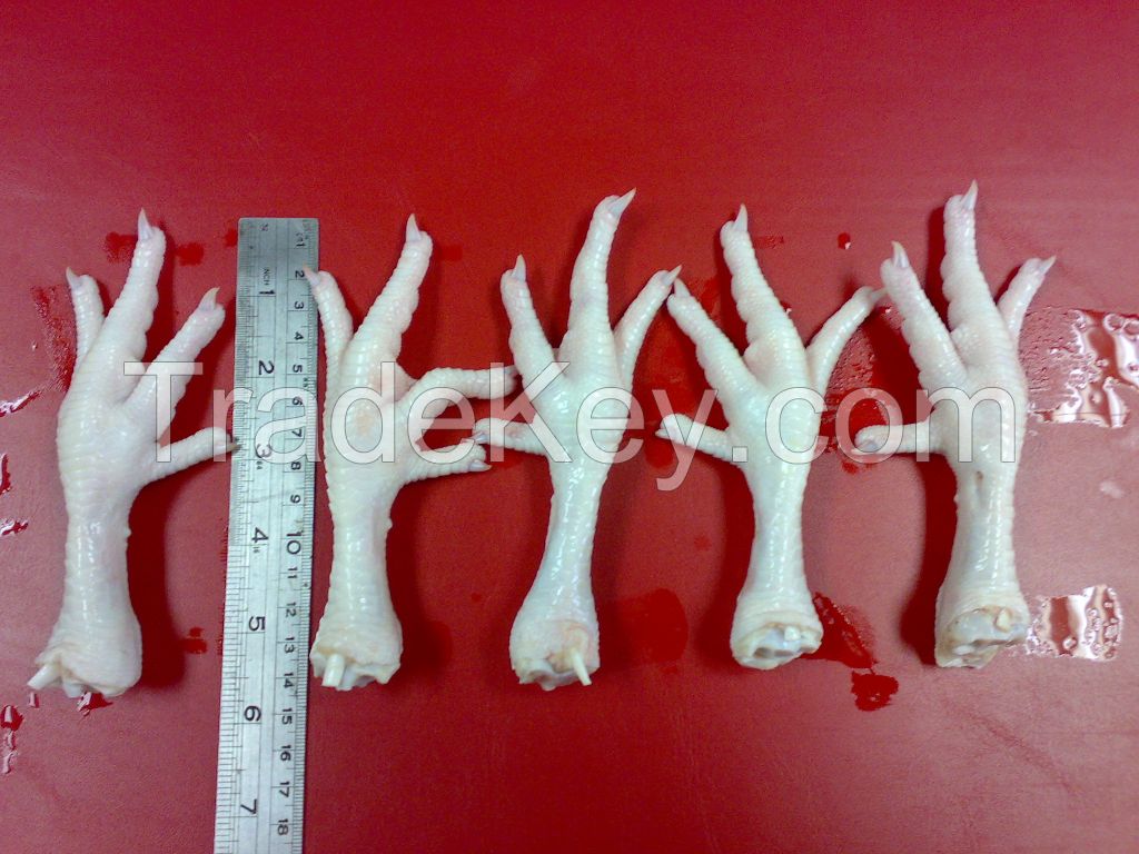 Frozen Processed Chicken Feet, Grade A With Approved plant SIF for Haiphong