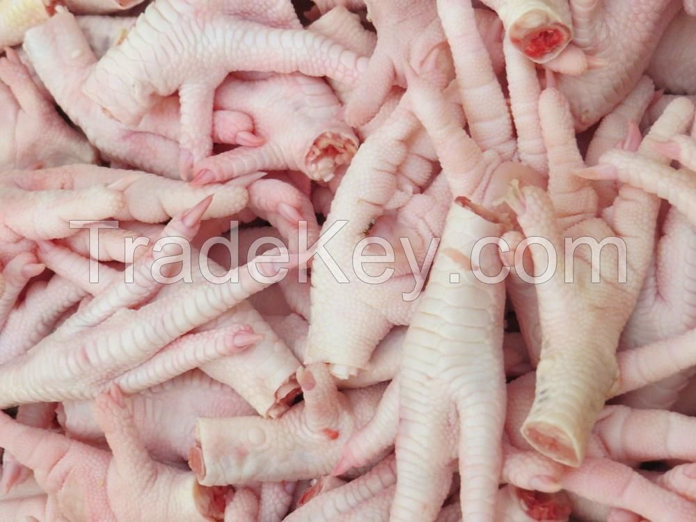 Grade A Frozen Chicken Feet and Chicken Paws best Quality