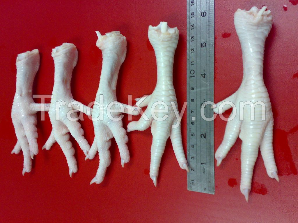 Frozen Processed Chicken Feet, Grade A With Approved plant SIF for Haiphong