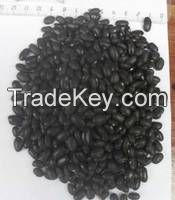 Black Kidney Beans